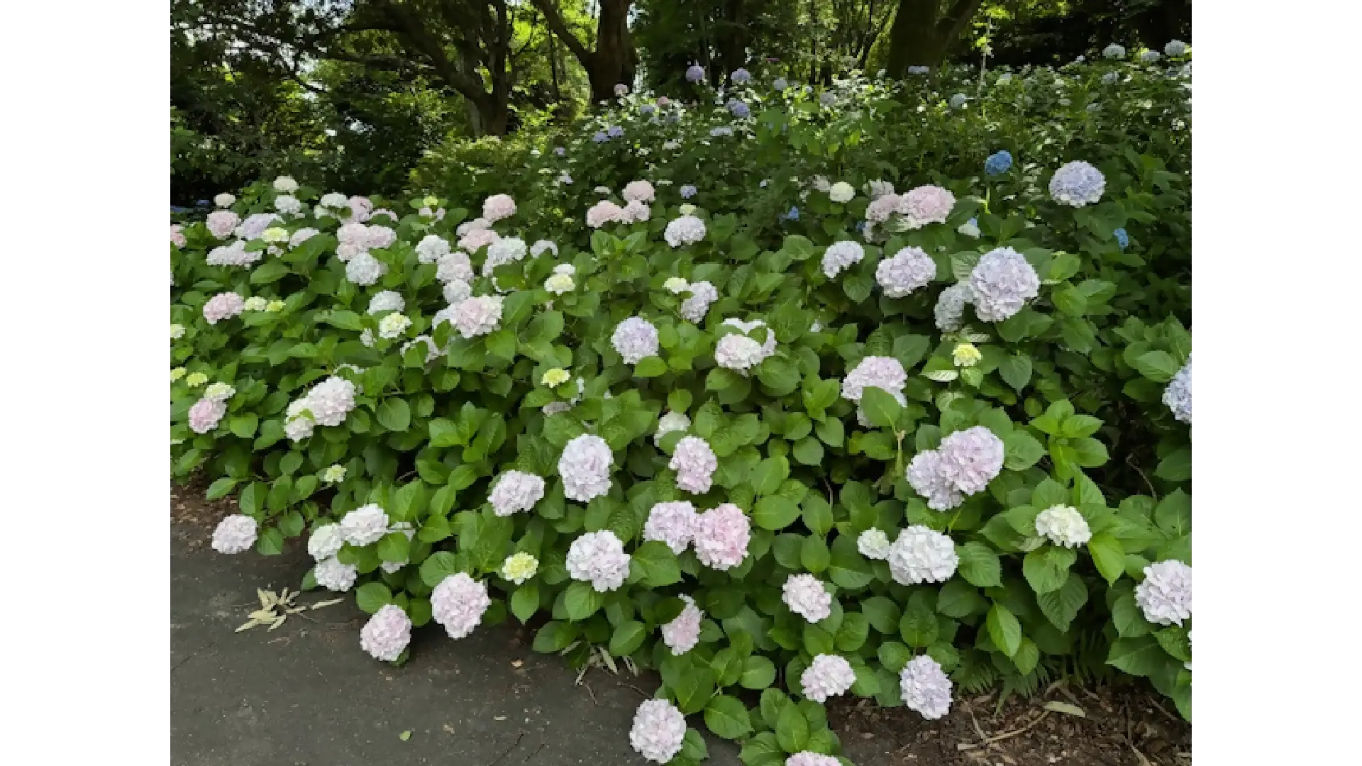 本日 10 26 と明日