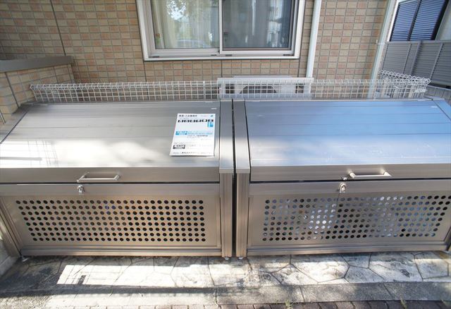 練馬区・光が丘公園 銀杏並木 黄葉の時季