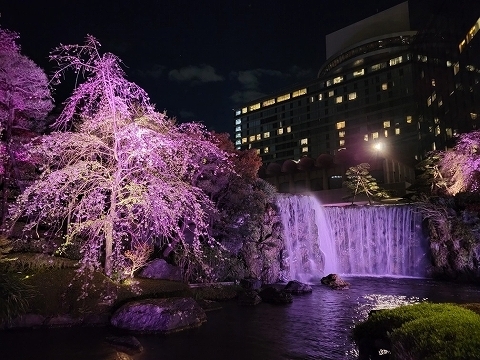 クリスマスは約1万坪の日本庭園ライトアップと“あまおう”スイーツにグルメを堪能！株式会社ニュー・オータニのプレスリリース