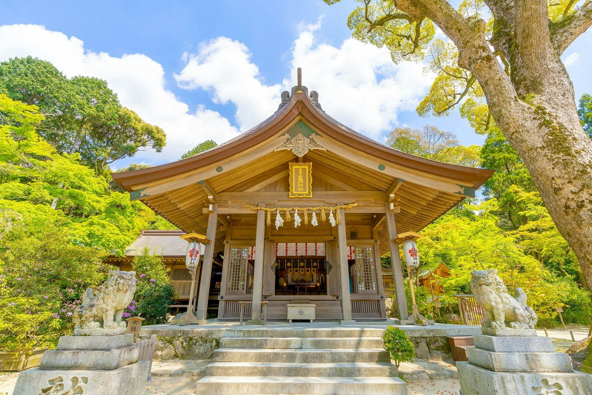 竈門神社ライトアップ 太宰府市