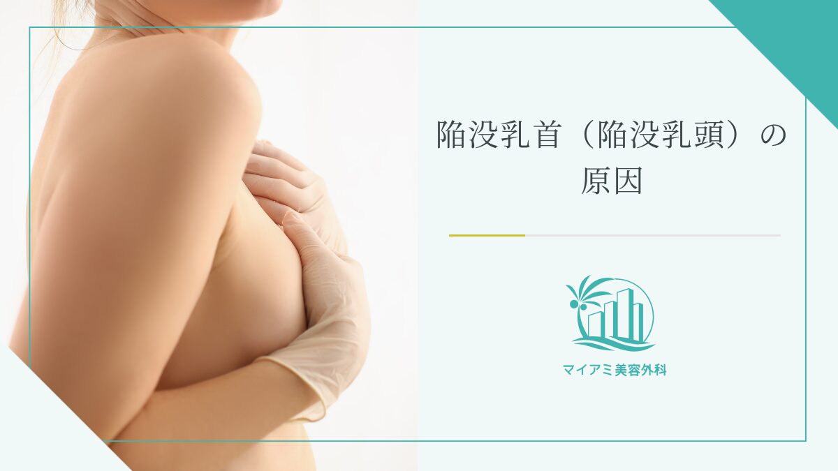 なぜ乳首は感じるのか ～脳の活動（体性感覚野）編～ - TENGAヘルスケア プロダクトサイト