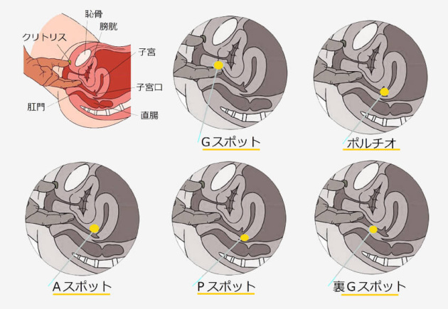 エロ漫画】クリイキさせるローターを使ったクリトリス愛撫の方法・裏ワザ : エロ漫画無料アダルト裏モノJAPAN