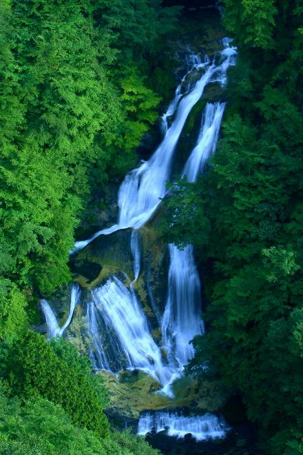 日光市 天空まで1445段！その先に見えたのは「日光市霧降高原キスゲ平園地」リビング栃木Web