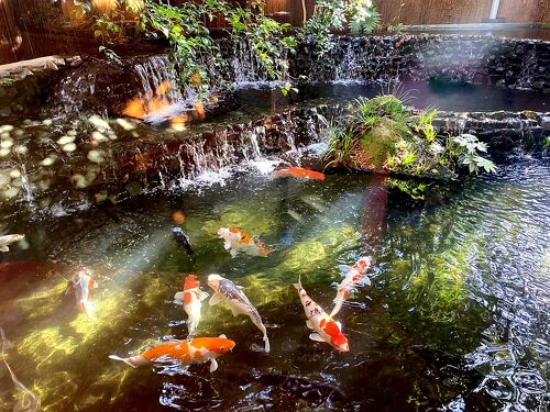 嬉野温泉 大正屋建築家の住宅コンサルティング「さあ、住まいの話をしましょうか」