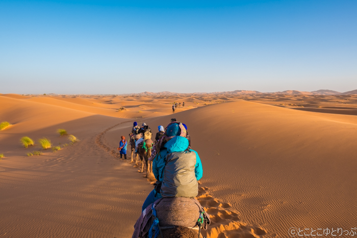 冒険に次ぐ冒険の旅～日本語ドライバーとまわるモロッコ周遊ハイライトツアー～ - 現地通信