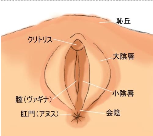 セックステクニックで女性を本当に気持ちよくする基礎知識【男性向け】－AM