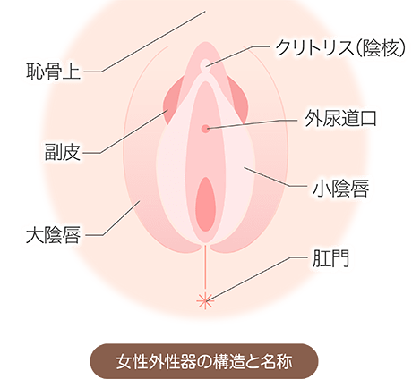 駿河屋 -【アダルト】<中古>超敏感クリ乳首の逸材AVデビュー  触れるだけでビクビク痙攣ヌレする全身性感帯「もうイッてるってば…ダメぇ壊れちゃう」集中チクビ責めでイキ狂う変態覚醒ドキュメント 