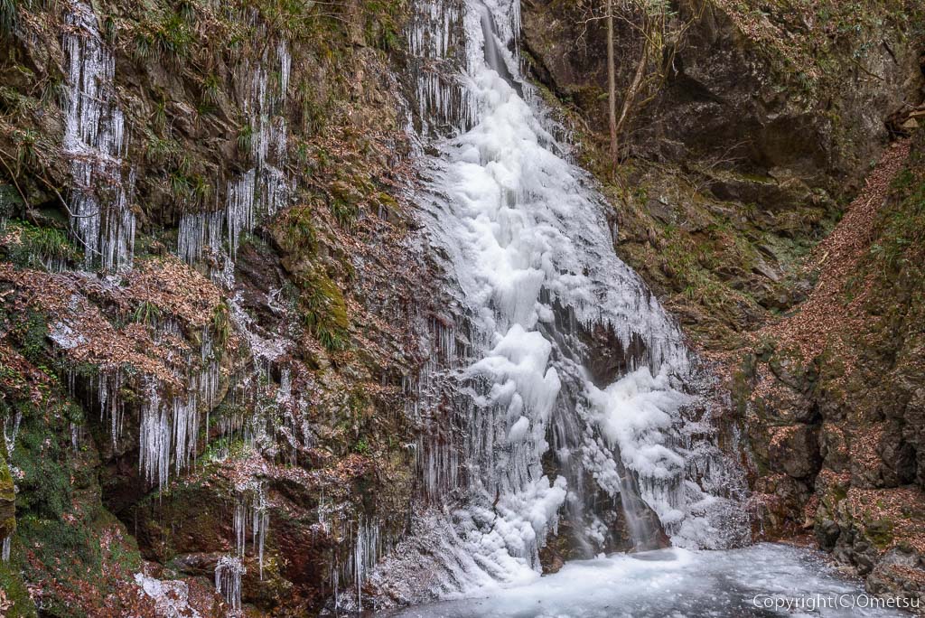 2024年8月15日 木 『払沢の滝ライトアップ中です』20時30分までです。 滝壺に上がれるのは本日までです。本日ぜひお越しください。明日16日はライトアップが台風接近のため中止となっております