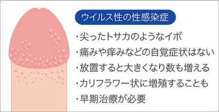 陰部のぶつぶつ、これって性病？ デキモノや症状から何の病気かを知る |