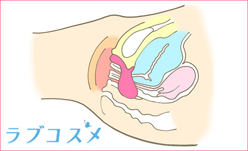 胸のGスポットで胸イキ！スペンス乳腺開発 - 夜の保健室