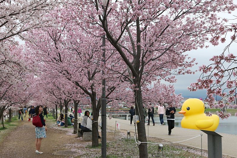 大阪の水陸両用バス「大阪ダックツアー」 | 旅プラスワン