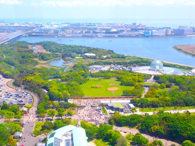 葛西の四季折々（６9）「3月下旬の草花」 - 花とみどりのボランティア/環境学習 - 公益財団法人