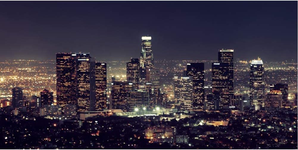 思い出の夜景シリーズ in ロサンゼルスVol. 1』ロサンゼルス