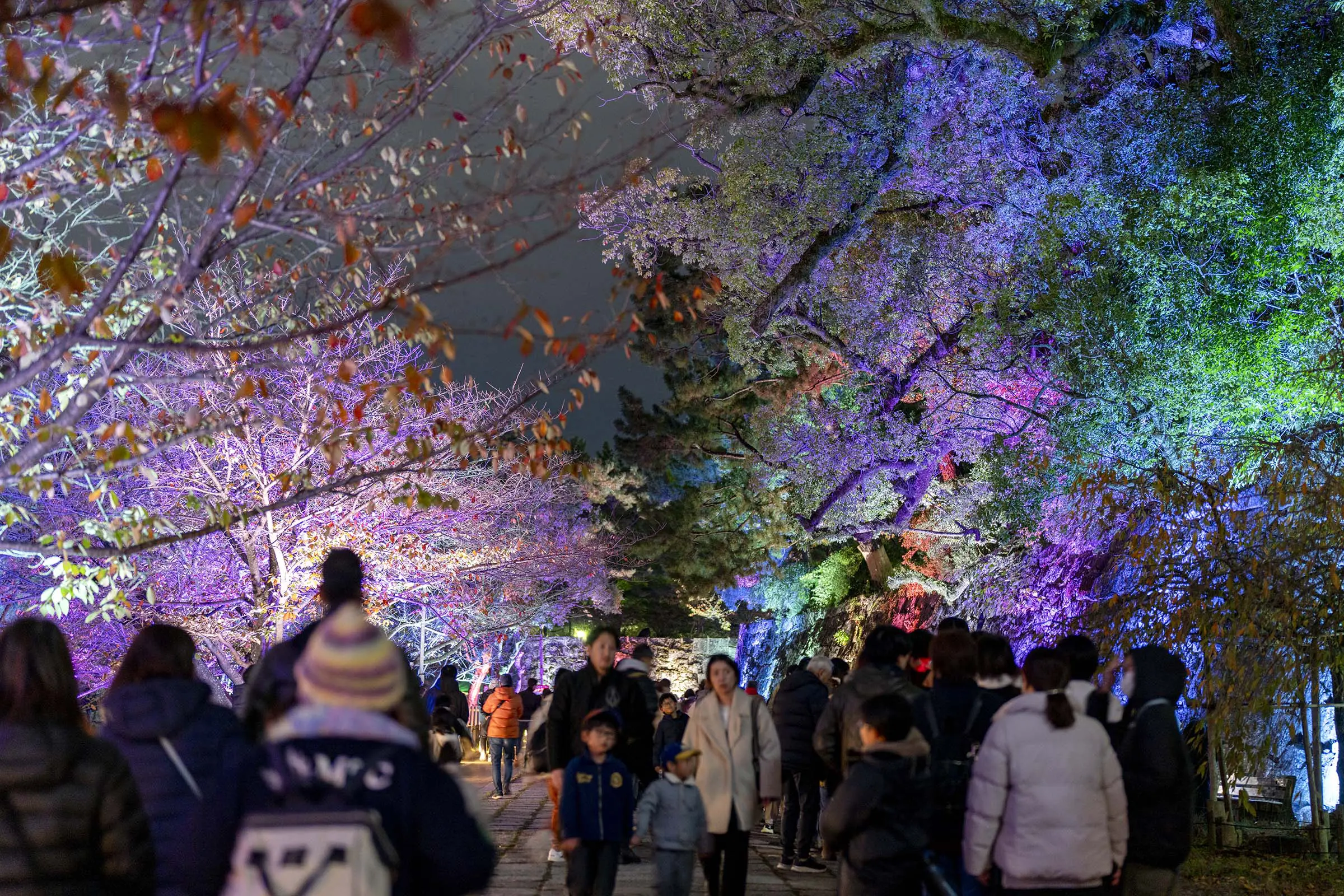 和歌山市 和歌山城公園ライトアップ「和歌山城～光の回廊～」＆和歌山城初の400機のドローンによるドローンショー等点灯記念イベントを開催します！和歌山市のプレスリリース