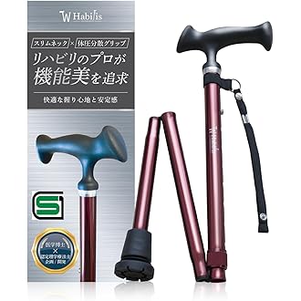 Amazon.co.jp 売れ筋ランキング: 杖・ステッキ の中で最も人気のある商品です