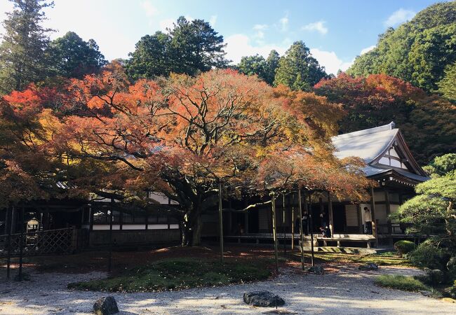 雷山千如寺大悲王院九州への旅行や観光情報は九州旅ネット