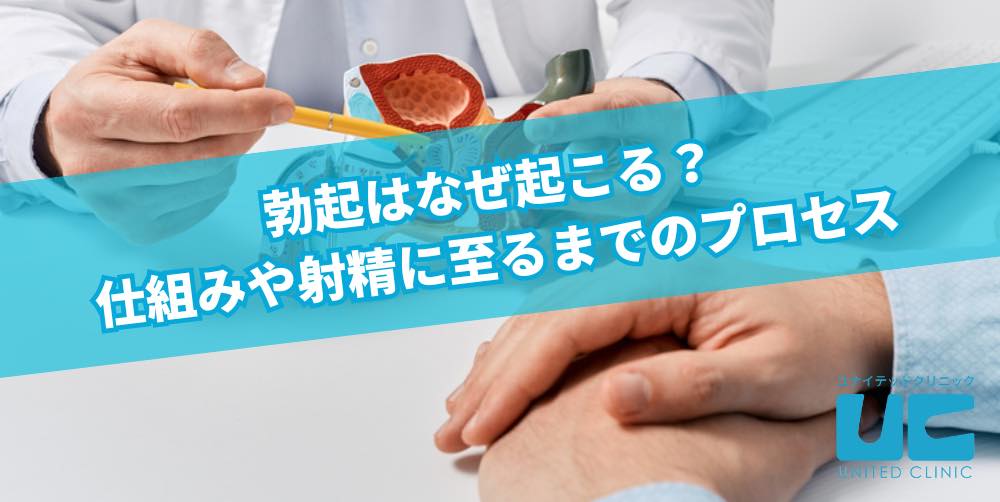 ひなちゃんに誘惑されてギンギンに勃起して射精することしか考えられなくなってる時に、隙あり笑って思いっきり股間を蹴 | Peing