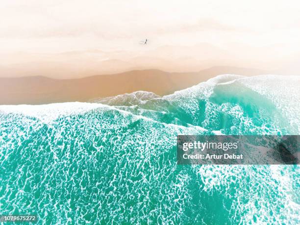 オーシャン ビーチサンセット ディストリクト- ツアーとアクティビティエクスペディア