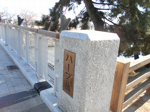 旧日光街道「草加松原遊歩道」風情ある松並木でリフレッシュしませんか？オクソカ