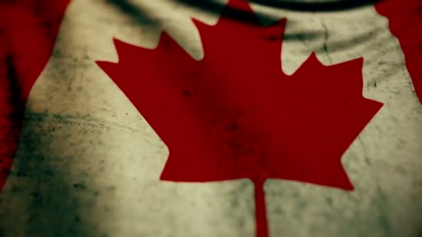 カナダ国旗の葉っぱのおすすめ人気商品一覧 通販 - Yahoo!ショッピング