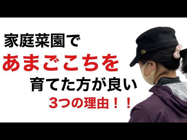 あまごこちの新着記事｜アメーバブログ（アメブロ）