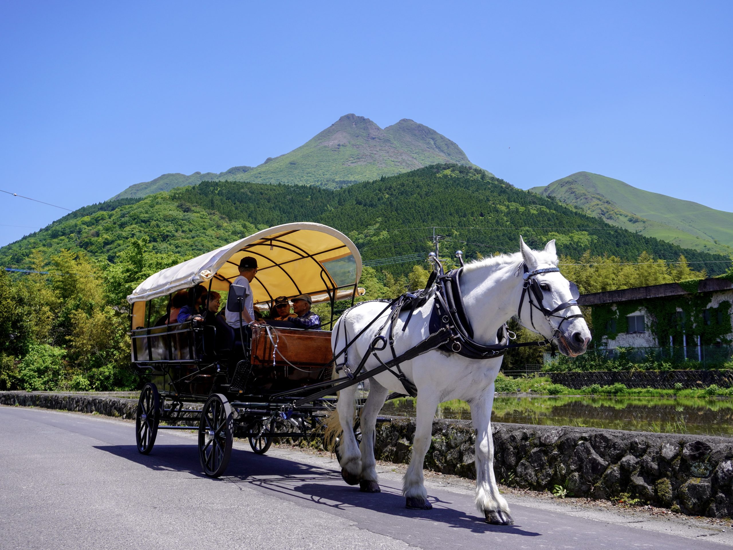 湯布院名物「辻馬車」 新しい車両にリニューアル ポーランド製で木目調の２台お披露目