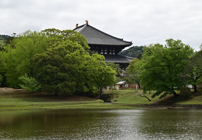 奈良の大仏＆東大寺で再発見！大人が楽しむ奈良観光コースオリコンニュース ORICON NEWS