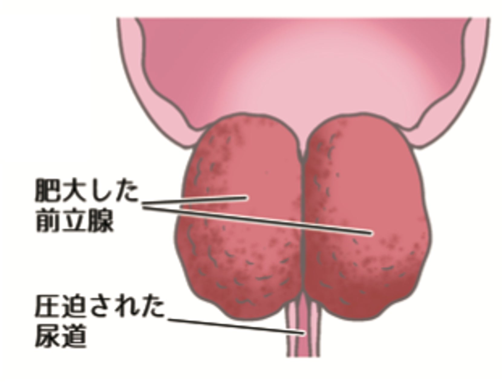 プロステ・ラボ - 大阪府 マッサージ -