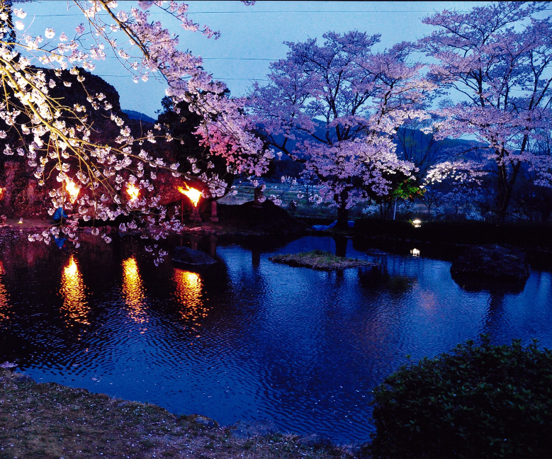 あづま総合運動公園 クチコミ・アクセス・営業時間福島市 フォートラベル