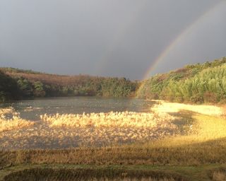 長者屋敷跡 片野海岸-石川県 の詳細情報ことりっぷ