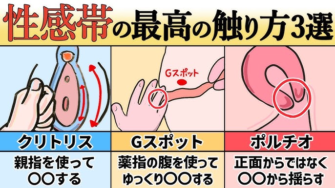 ポルチオとは？位置や開発方法、ポルチオセックスのやり方- 夜の保健室