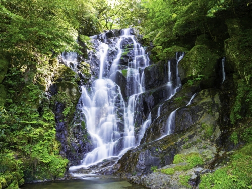 リフレッシュ＆運気アップ！福岡県のおすすめパワースポット - Tripa