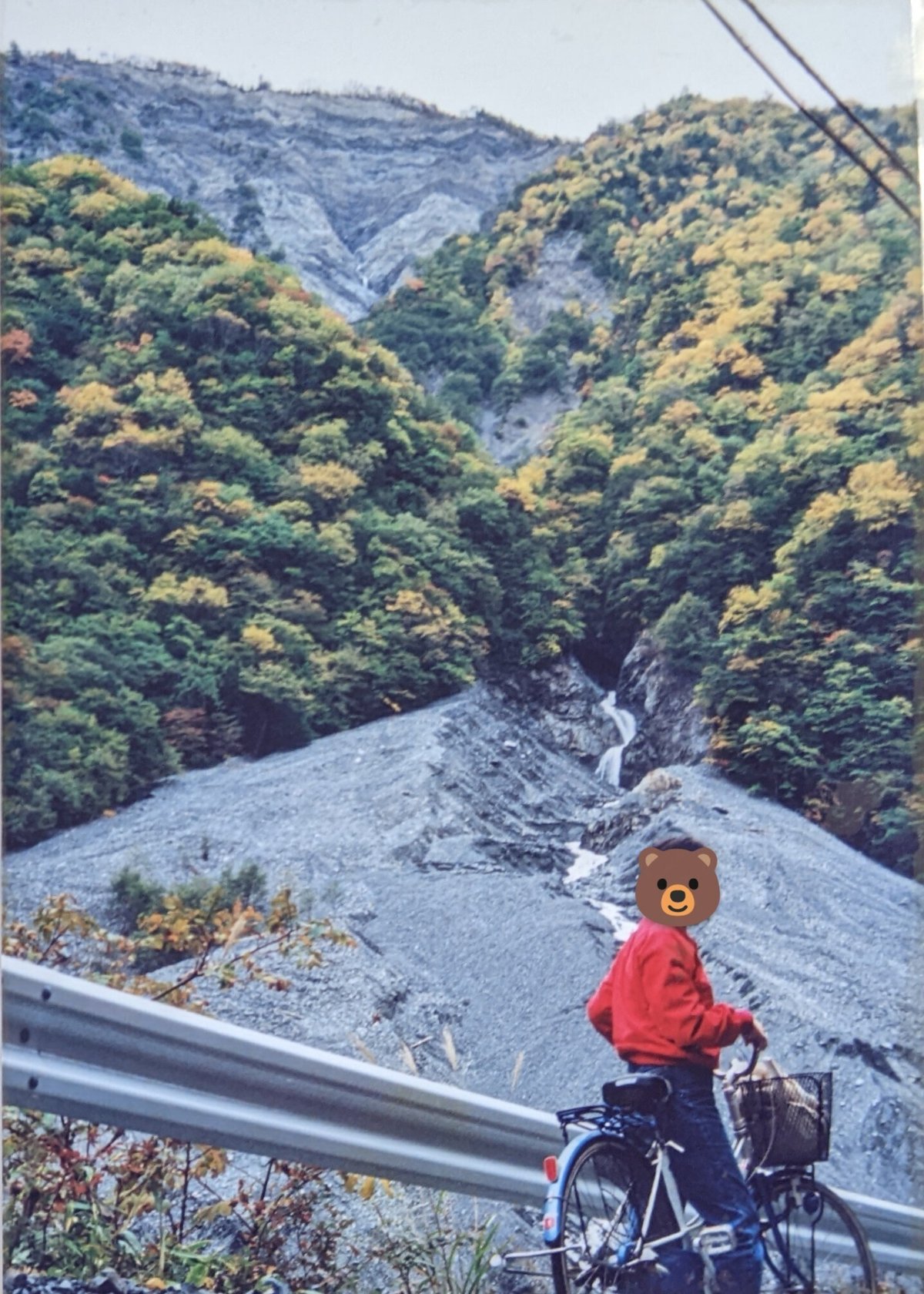 畑薙大吊橋静岡・浜松・伊豆情報局