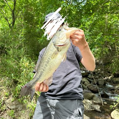 鈴鹿～亀山～安濃・野池巡り和菓子屋さんのバス釣り