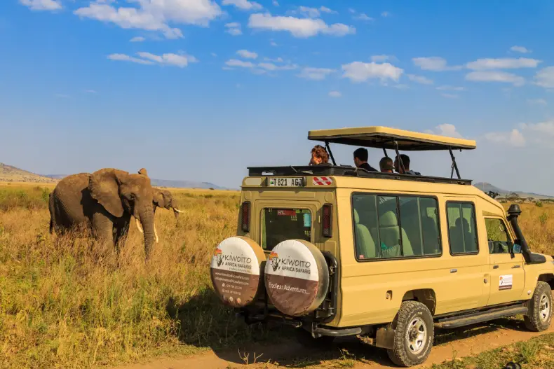南アフリカ旅行に欠かせない、クルーガー国立公園でのサファリ体験観光スポット南アフリカ観光局