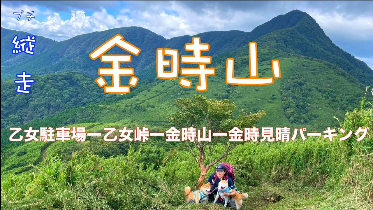 金時山 乙女駐車場〜乙女峠〜長尾山〜金時山 往復youllbegreatさんの金時山・明神ヶ岳の活動データYAMAPヤマップ