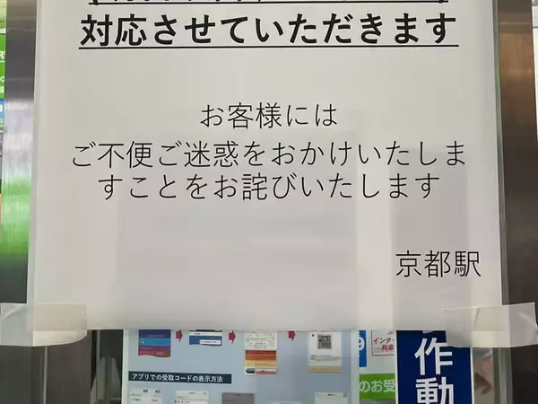 裏起毛素材リブニット切替プルオーバー - ベルーナ【公式】