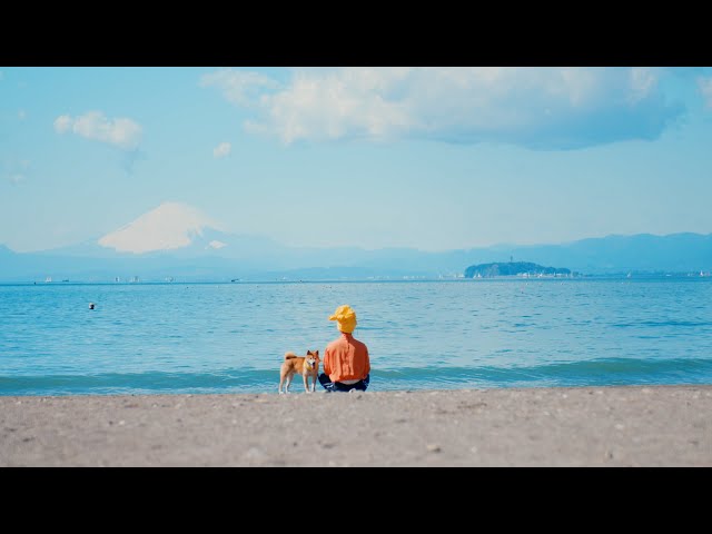 海沿いのドライブにピッタリな曲20選！雰囲気がよくなる曲をご紹介音ハコ