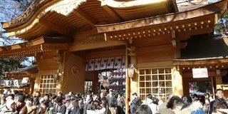 京王・東府中 日本ダービー 馬急行/馬特急