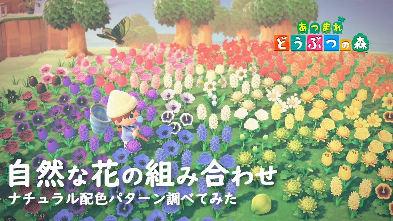 あつ森島クリ ヒヤシンスの花畑がキレイな島 島カタログ