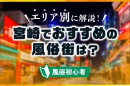 Amazon.co.jp: SOD女子社員 南国出身の新入社員がどきどき風俗初出勤