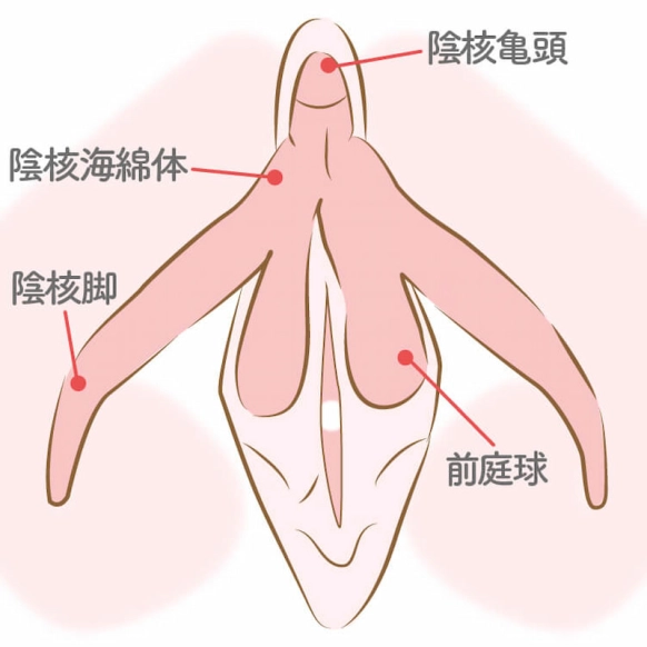 まんずり鑑賞会 自らクリトリスを擦ってオナニーしているところを見せて下さいとガチナンパ -