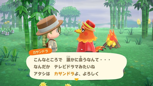 あつ森 2025年版 カサンドラの誕生日と性格 あつまれどうぶつの森- アルテマ