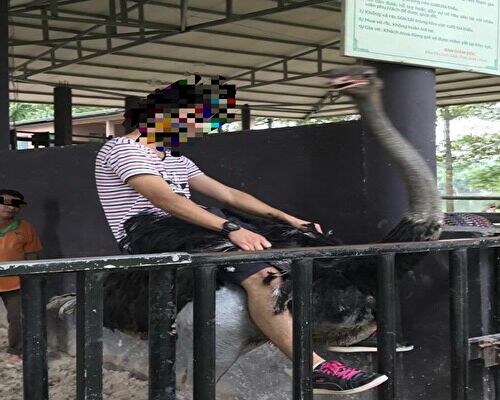 ダチョウに乗って走ってみる オーストリッチファームにて