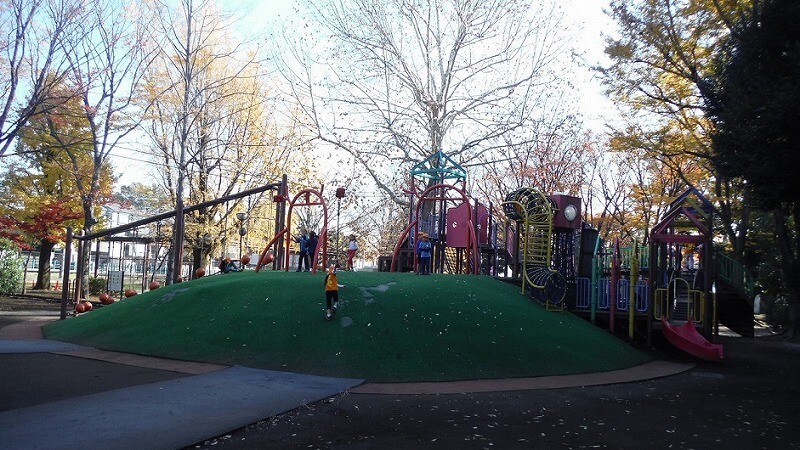 東京近郊大きな遊具がある公園