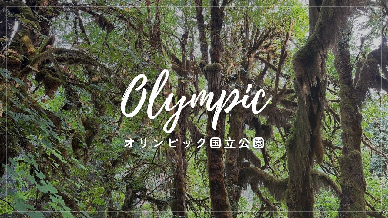 オリンピック国立公園の半日ガイド付きツア