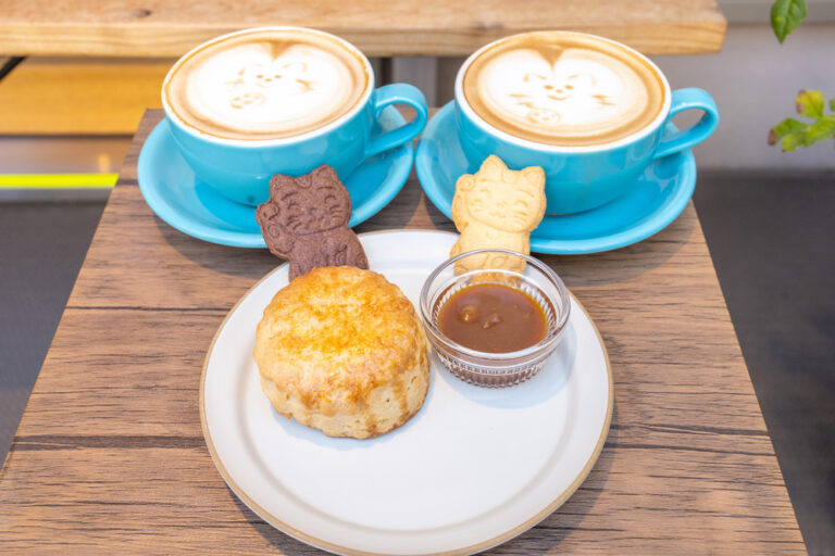 📍愛騒┊︎豪徳寺 世田谷区豪徳寺駅近くにある静かな住宅地に潜むカフェ。店内は緑の壁が印象的で、レコードも流れていました。お店を入ると雑貨なども沢山あって、ついつい長居したくなるお洒落すぎる空間です🌿フードはプリンやキャロットケーキからトーストまであり