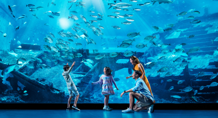 ⑭シンガポール、セントーサ島の水族館がとにかく素晴らしいとしか言えない・ - ともばたけ
