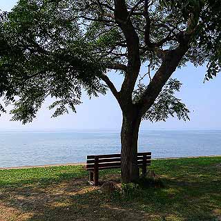 あのベンチ -滋賀県 の詳細情報ことりっぷ