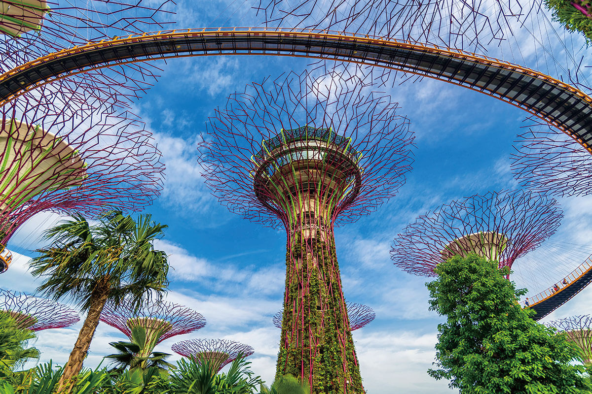 ガーデンズバイザベイのOCBCスカイウェイの料金は？ショーの時間は？調査してきた！ シンガポールブログシンガぷらぷら